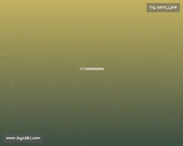 2018海口赛事—海口联赛冠军