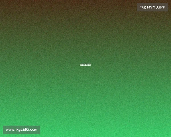 中央海岸赛事比分